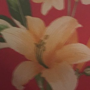 Meet your Posher, Beckie